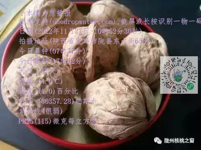 0.mp4