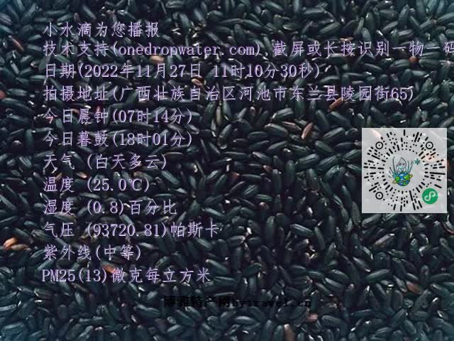 0.mp4