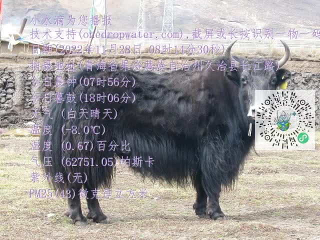0.mp4