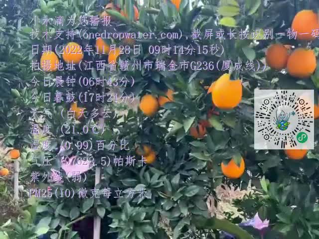 FoyDi0pQmo446kTCMEQ8TFeDA-Tqmp4