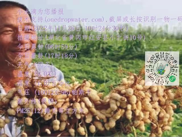 0.mp4