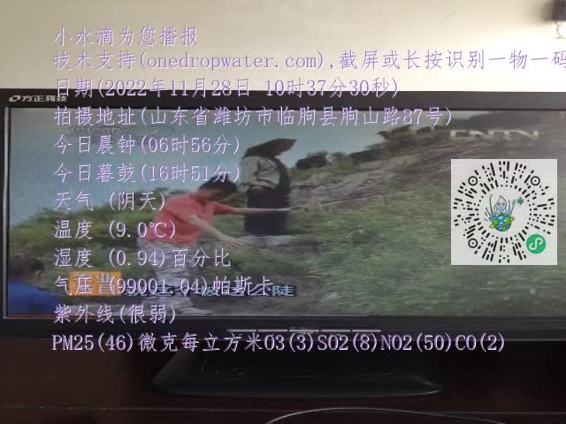 0.mp4