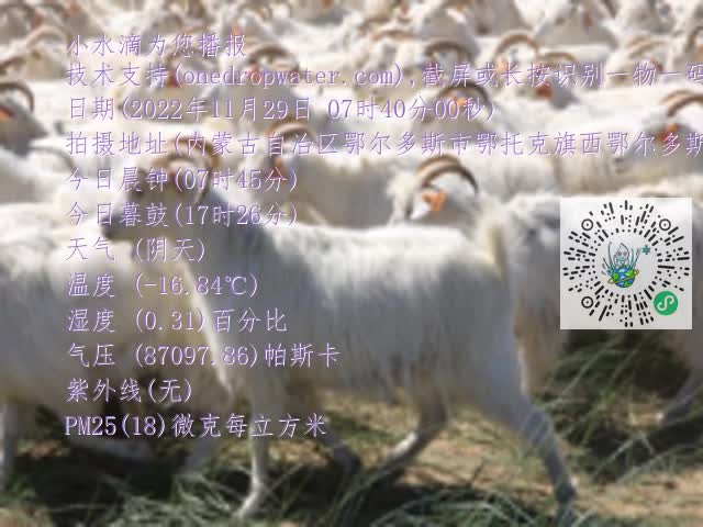 0.mp4