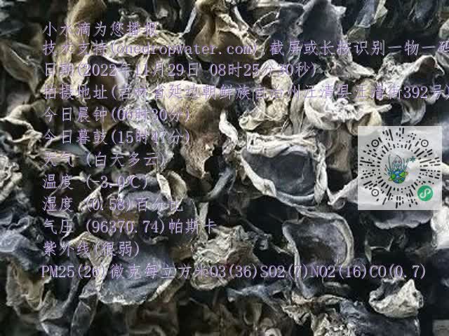 0.mp4