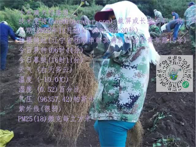 0.mp4