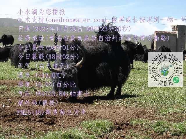 0.mp4