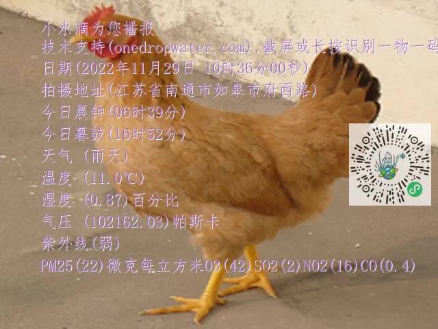0.mp4