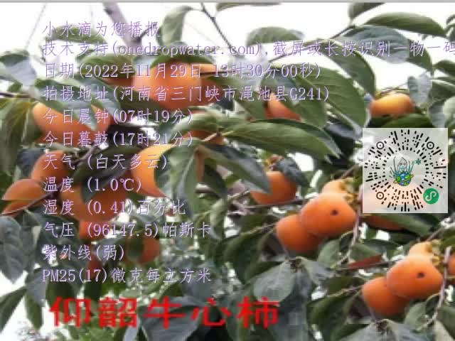 0.mp4