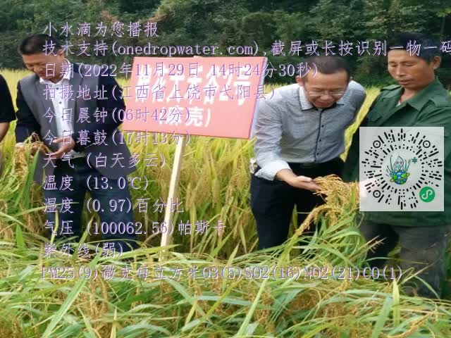 0.mp4