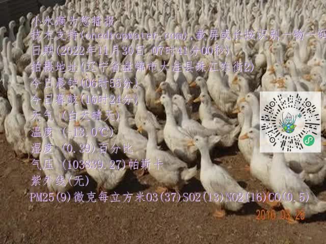 0.mp4