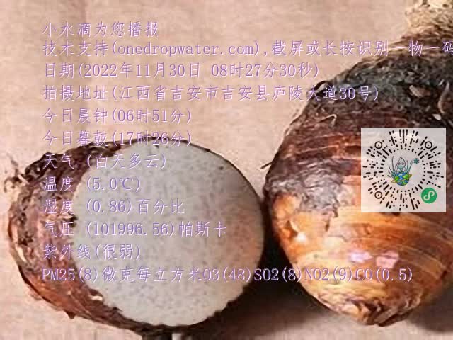 0.mp4