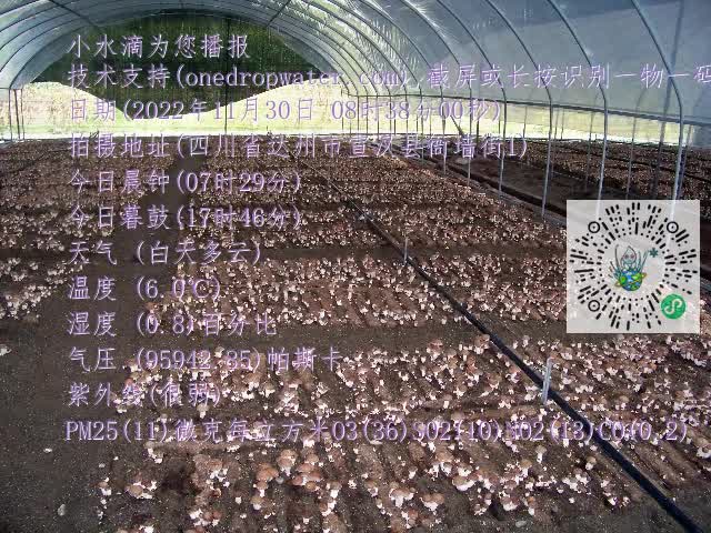 0.mp4