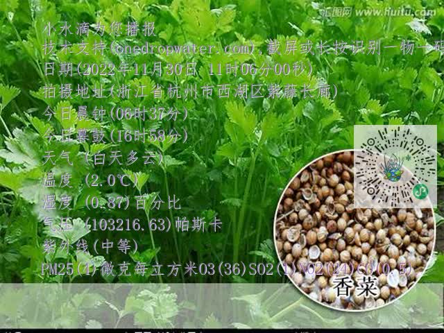 2a985a522c75a847263c26cdf1b8246d.mp4