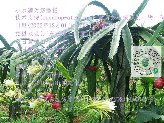 7e9a1e27ad1aa5fc3bd75c59ea50888e.mp4