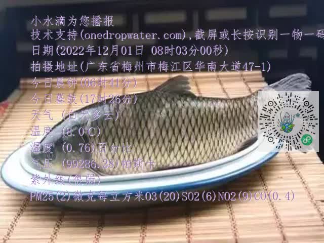 0.mp4