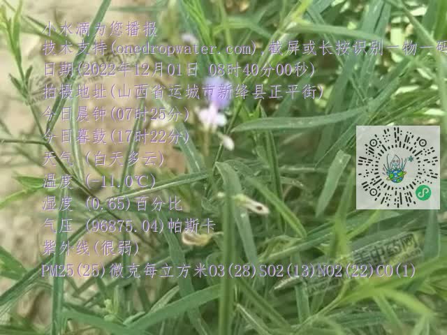 0.mp4