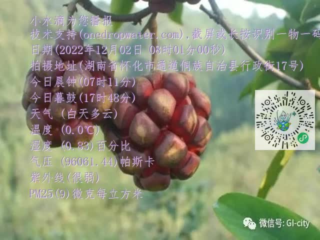 0.mp4