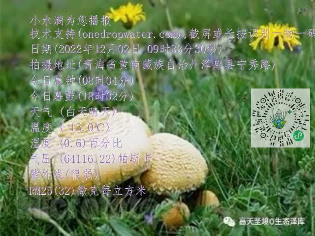 0.mp4