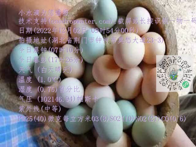 0.mp4