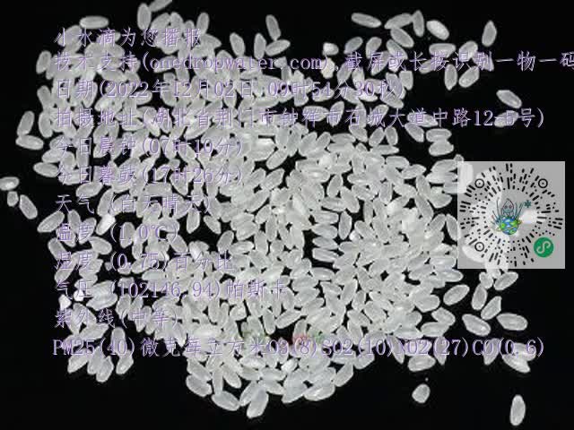 0.mp4