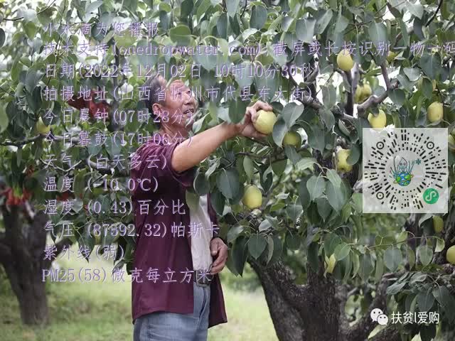 0.mp4
