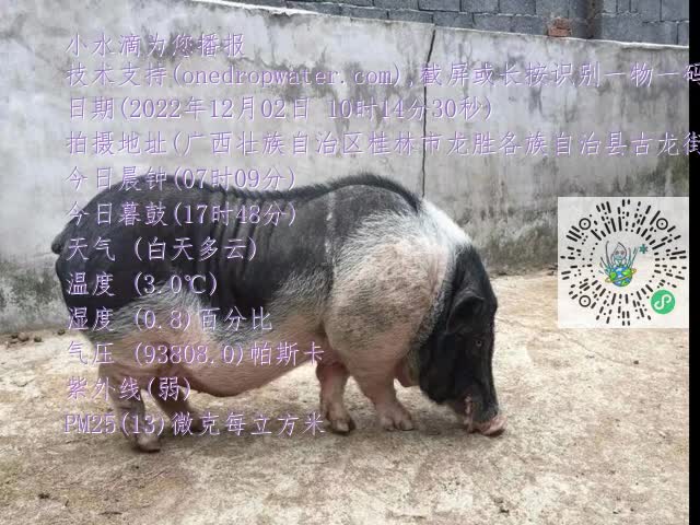 0.mp4