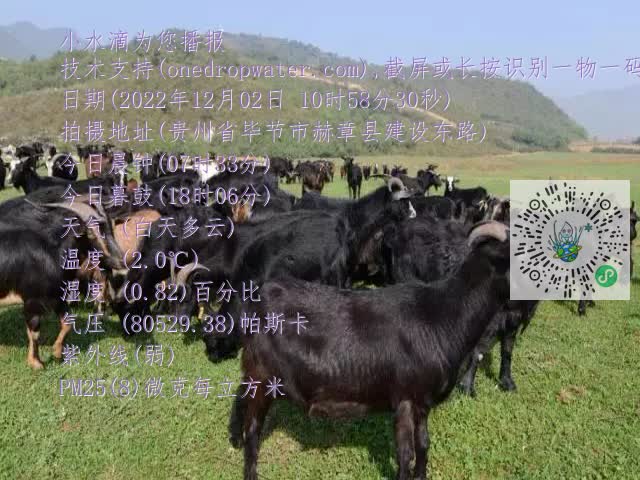 0.mp4