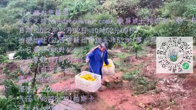 FvkOGYyArIaRs_oii9YxyiQqtpC5mp4