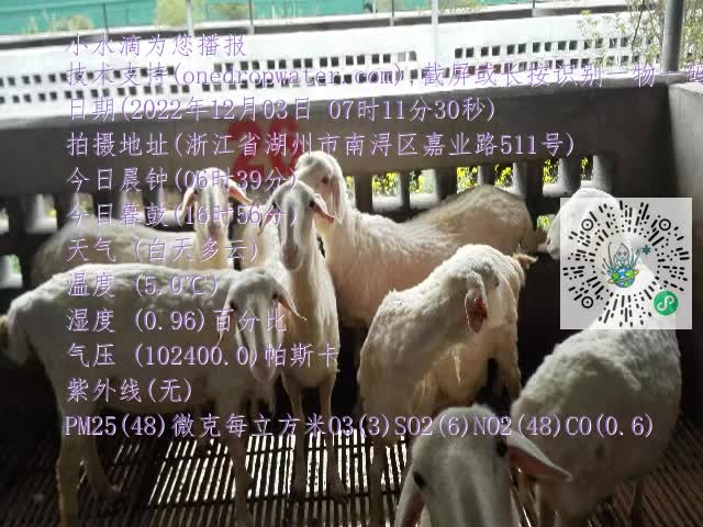0.mp4