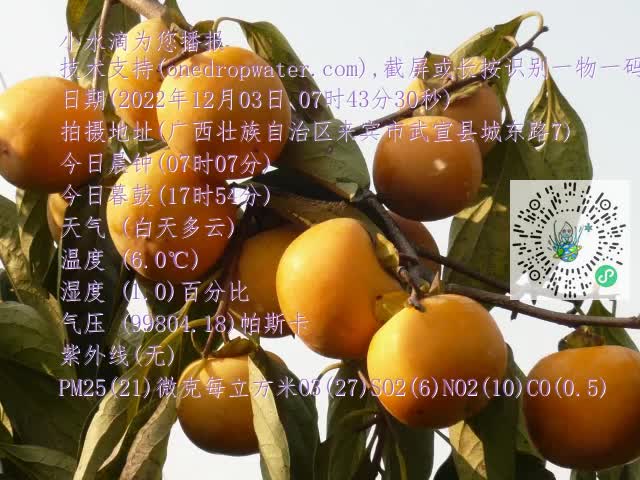 0.mp4