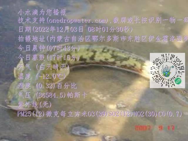 0.mp4