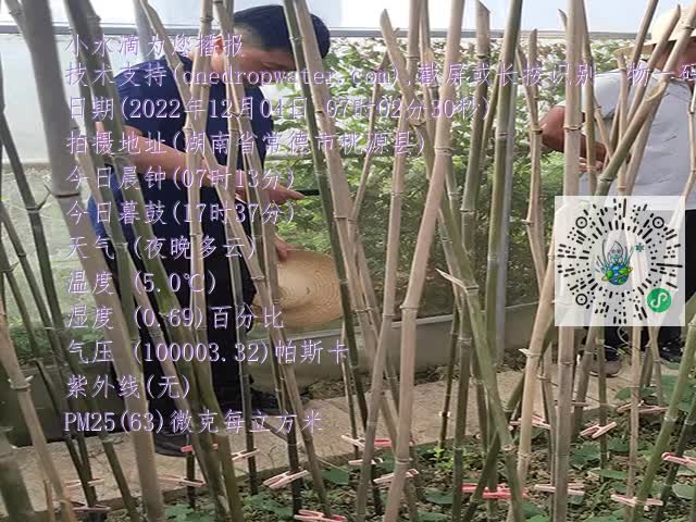 1ca5315187c7915aedcb62a0d18b756b.mp4