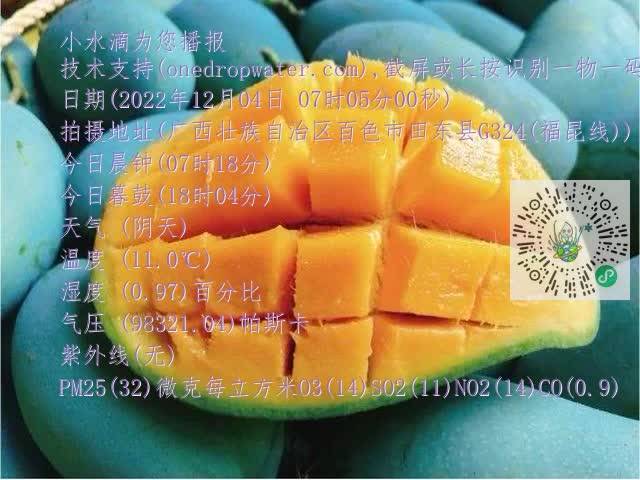 73494d77cb606d36ec27b666fd711518.mp4