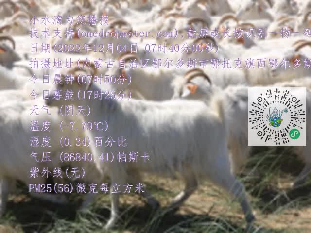 0.mp4