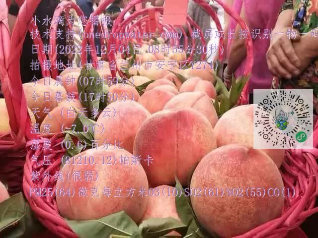 0.mp4