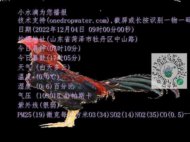 0.mp4
