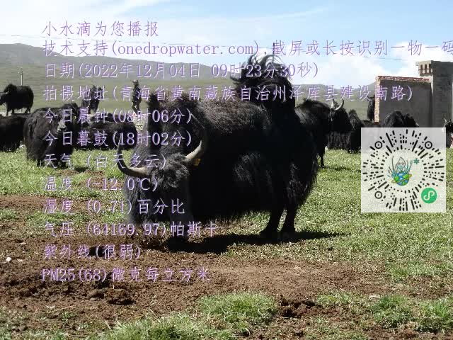 0.mp4