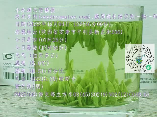 0.mp4