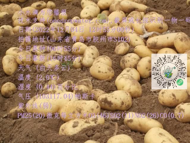 0.mp4