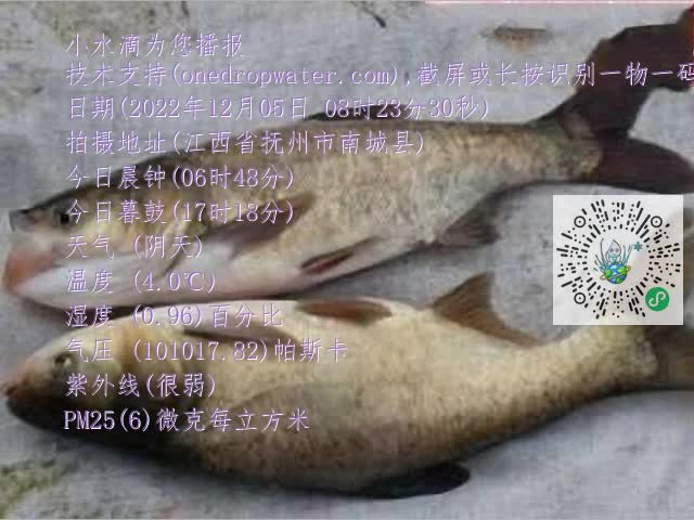 0.mp4
