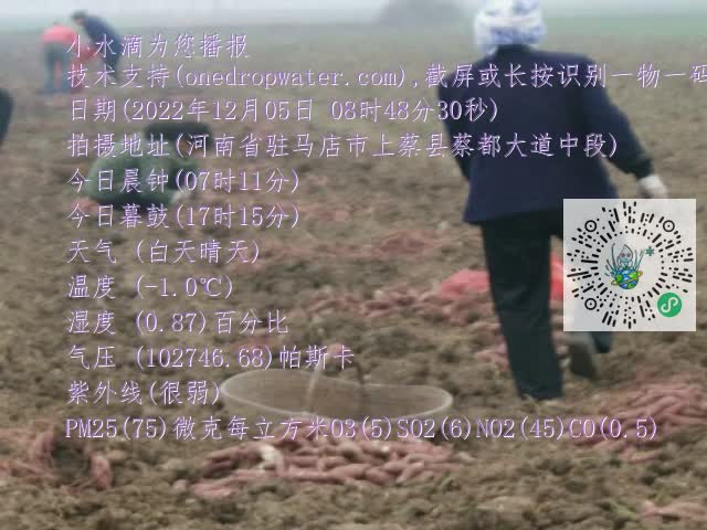 0.mp4