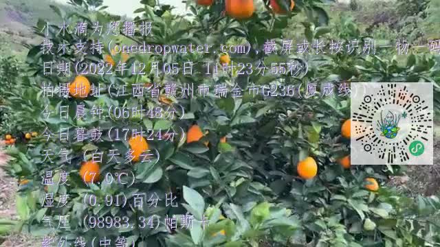 FoZcBAFuXKtkJn_yXn3RWkYIDdGCmp4