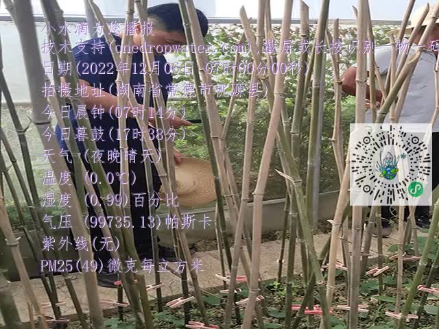 1ca5315187c7915aedcb62a0d18b756b.mp4