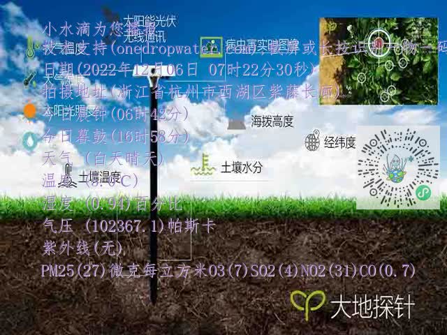 c5f5e29d78ef5b5e9254e5c36352b567.mp4