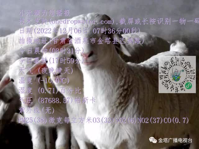 0.mp4