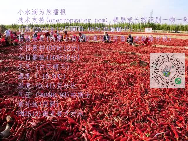0.mp4