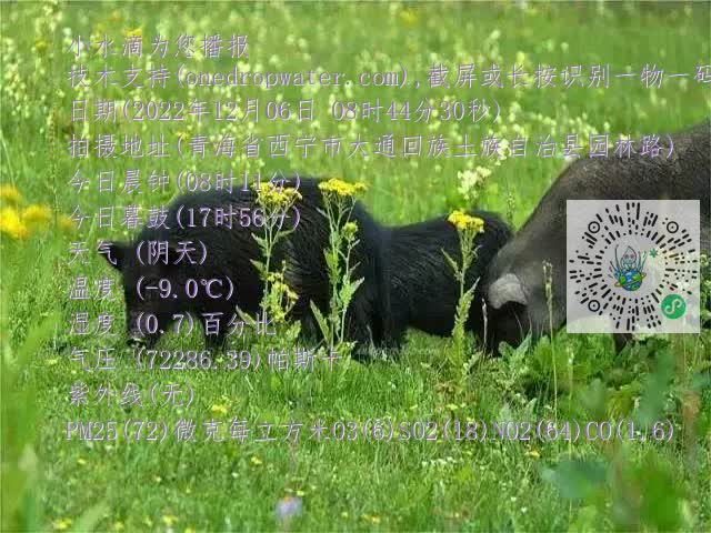 0.mp4