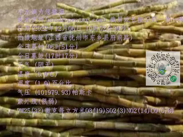 0.mp4