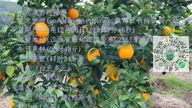 FuPVfgMgJ8PZ9T6W9_fz2vyMDf4ymp4
