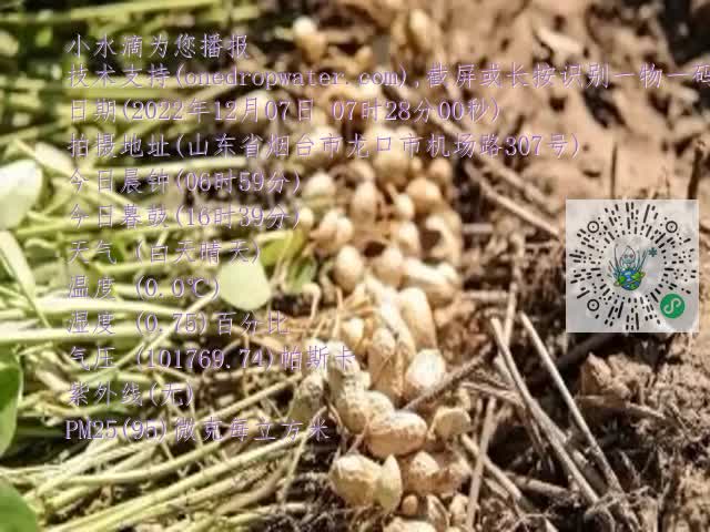0.mp4